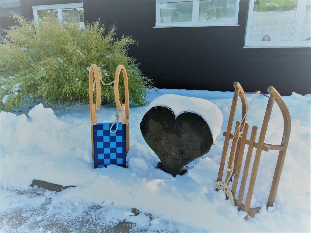 Bergchalet Heidestock Willingen  Luaran gambar