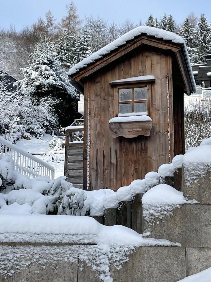 Bergchalet Heidestock Willingen  Luaran gambar