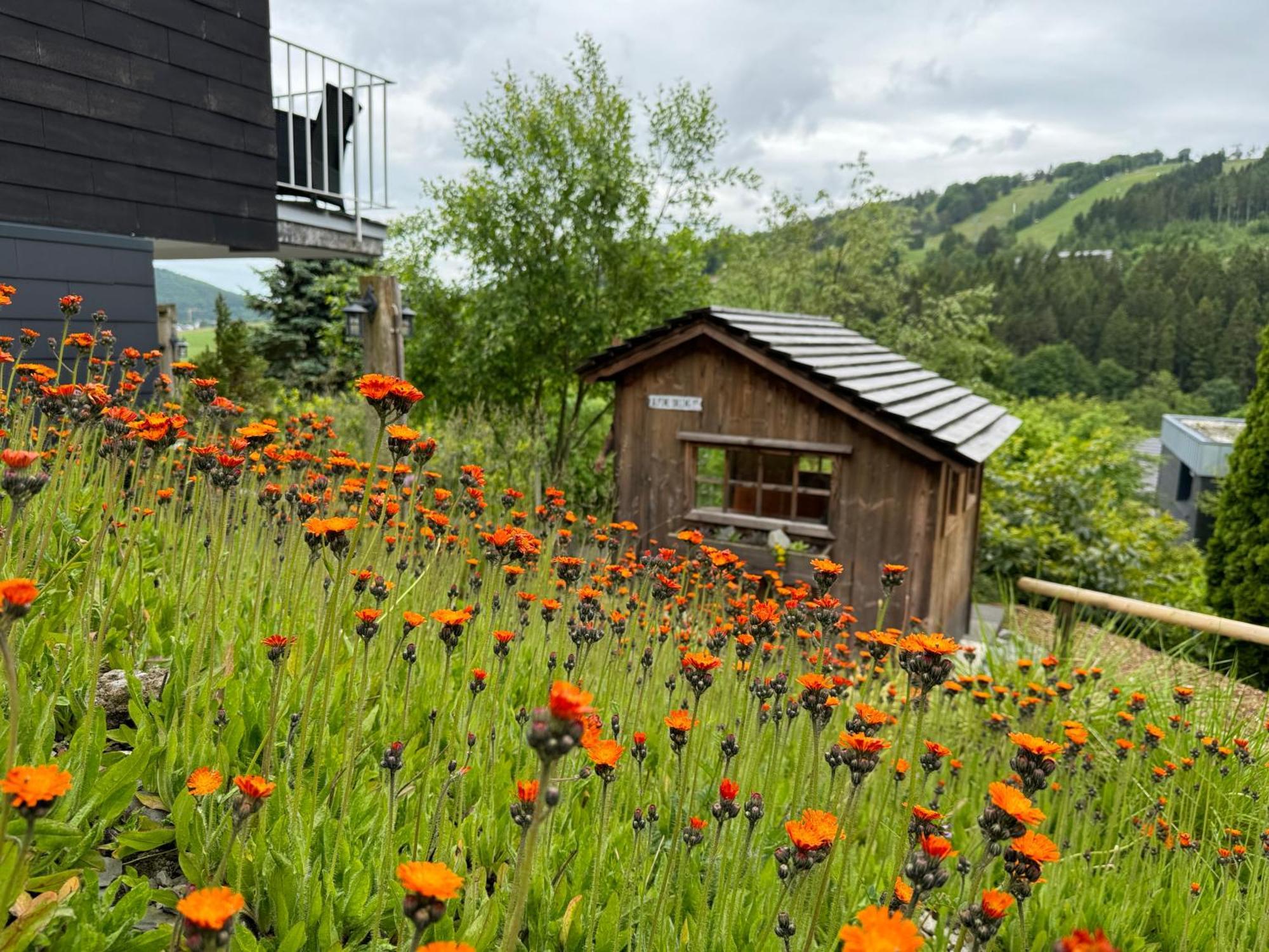 Bergchalet Heidestock Willingen  Luaran gambar